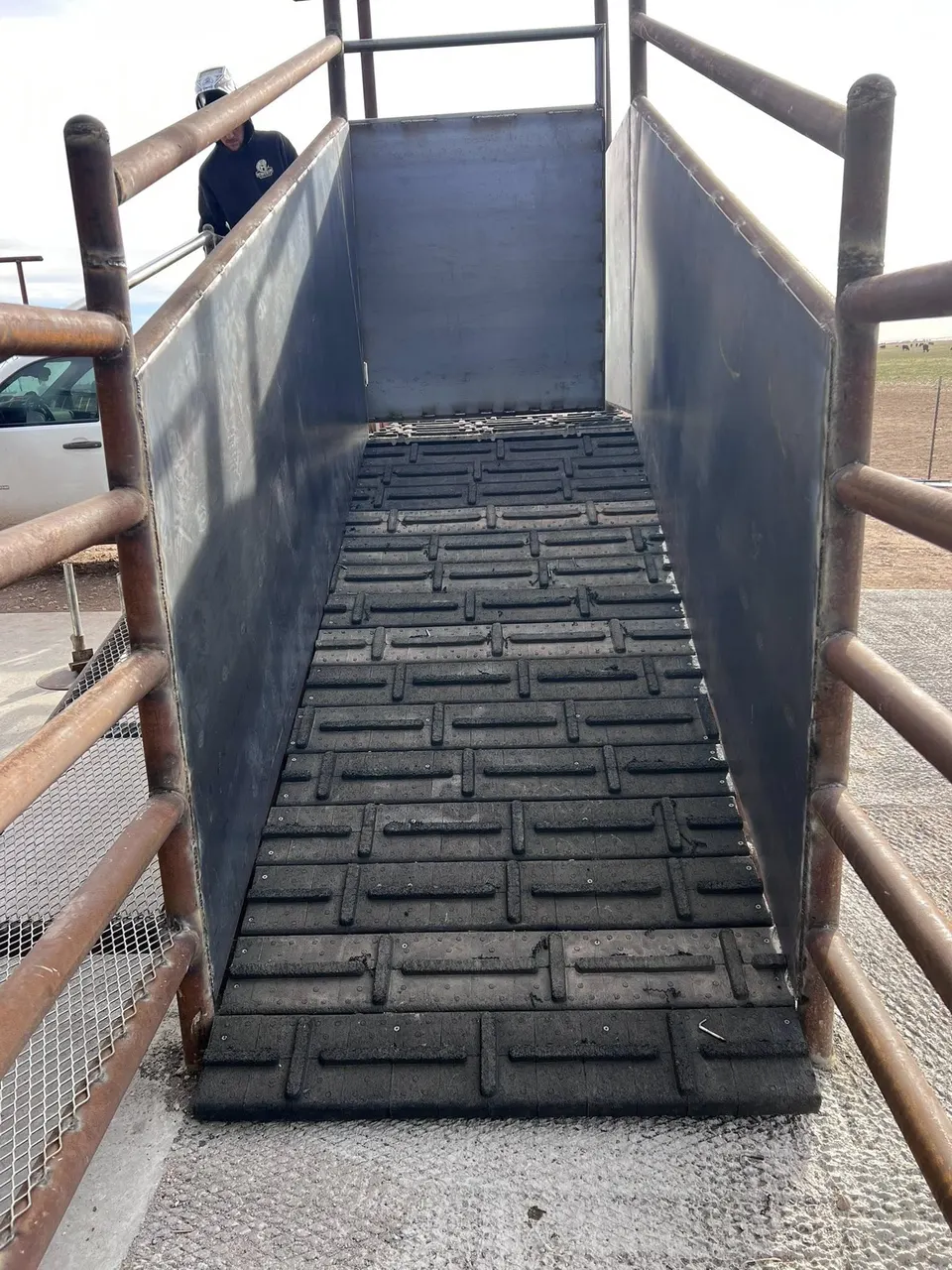Cattle alley chute with rubber matting built by Homerun Fabrication