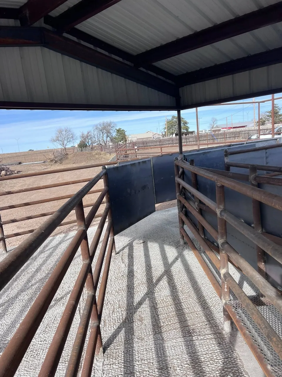 Covered cattle pen with heavy-duty pipe railing in the Texas Panhandle
